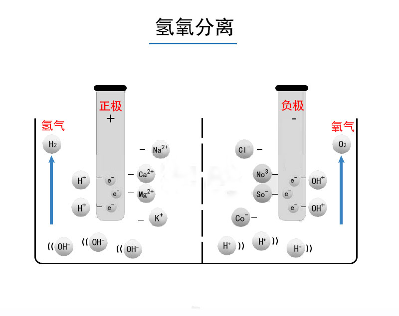 富氢水杯